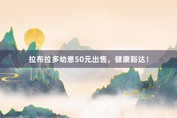 拉布拉多幼崽50元出售，健康豁达！
