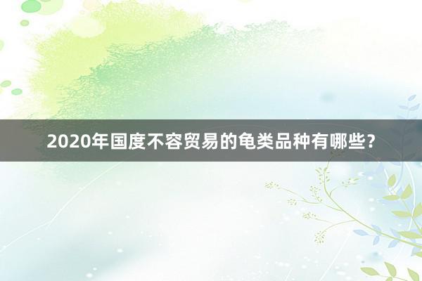 2020年国度不容贸易的龟类品种有哪些？