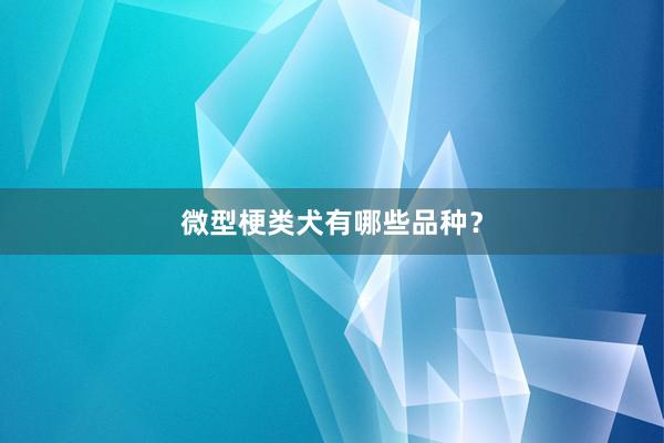微型梗类犬有哪些品种?